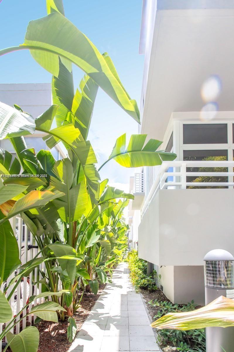 619 Meridian Ave # 4