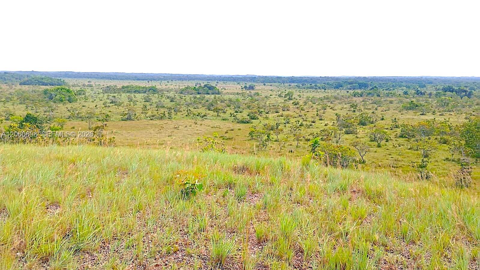 236 SAN MARTIN DEPTO: META MUNICIPIO: SAN MARTIN