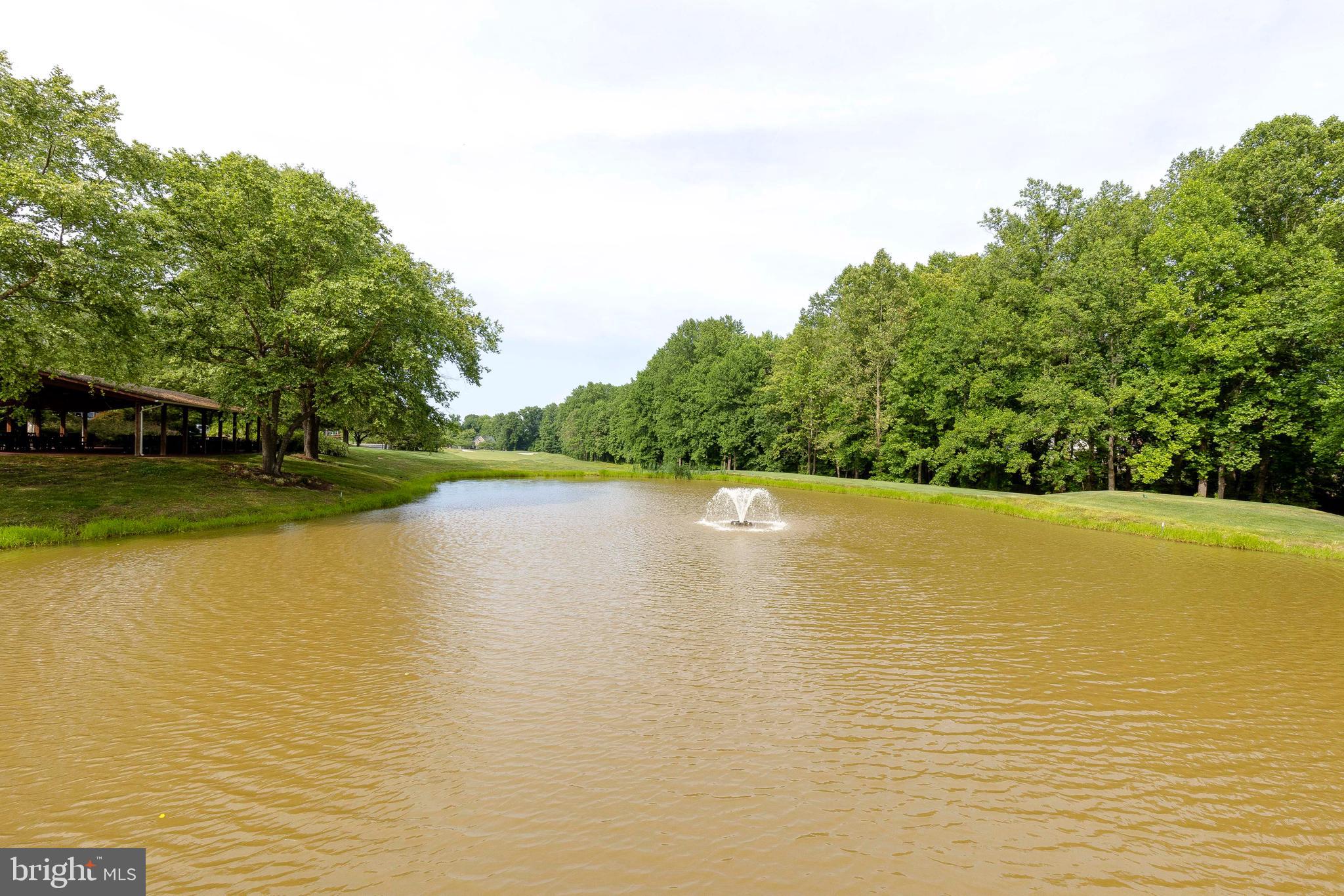 306 COLONY POINT PLACE