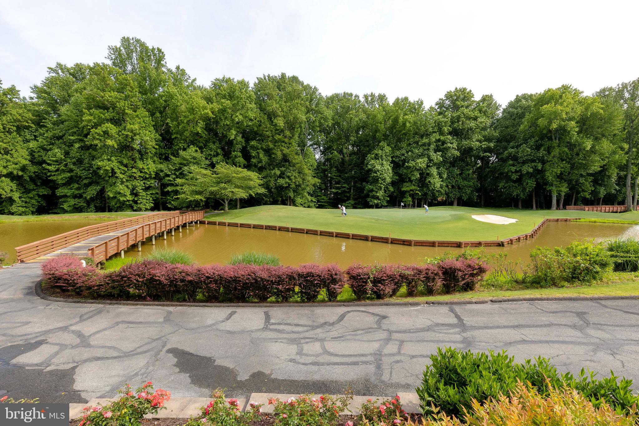 306 COLONY POINT PLACE