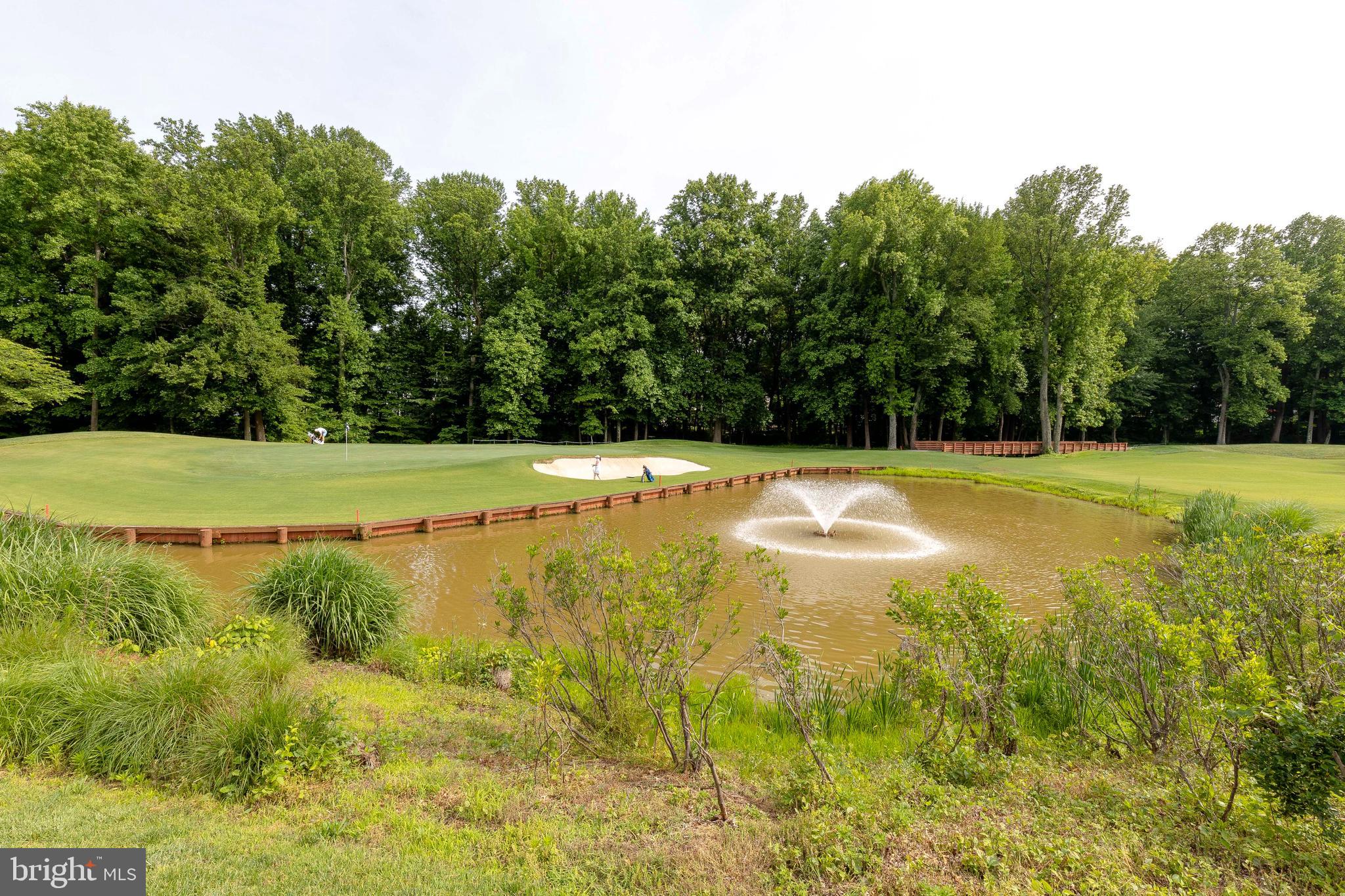 306 COLONY POINT PLACE