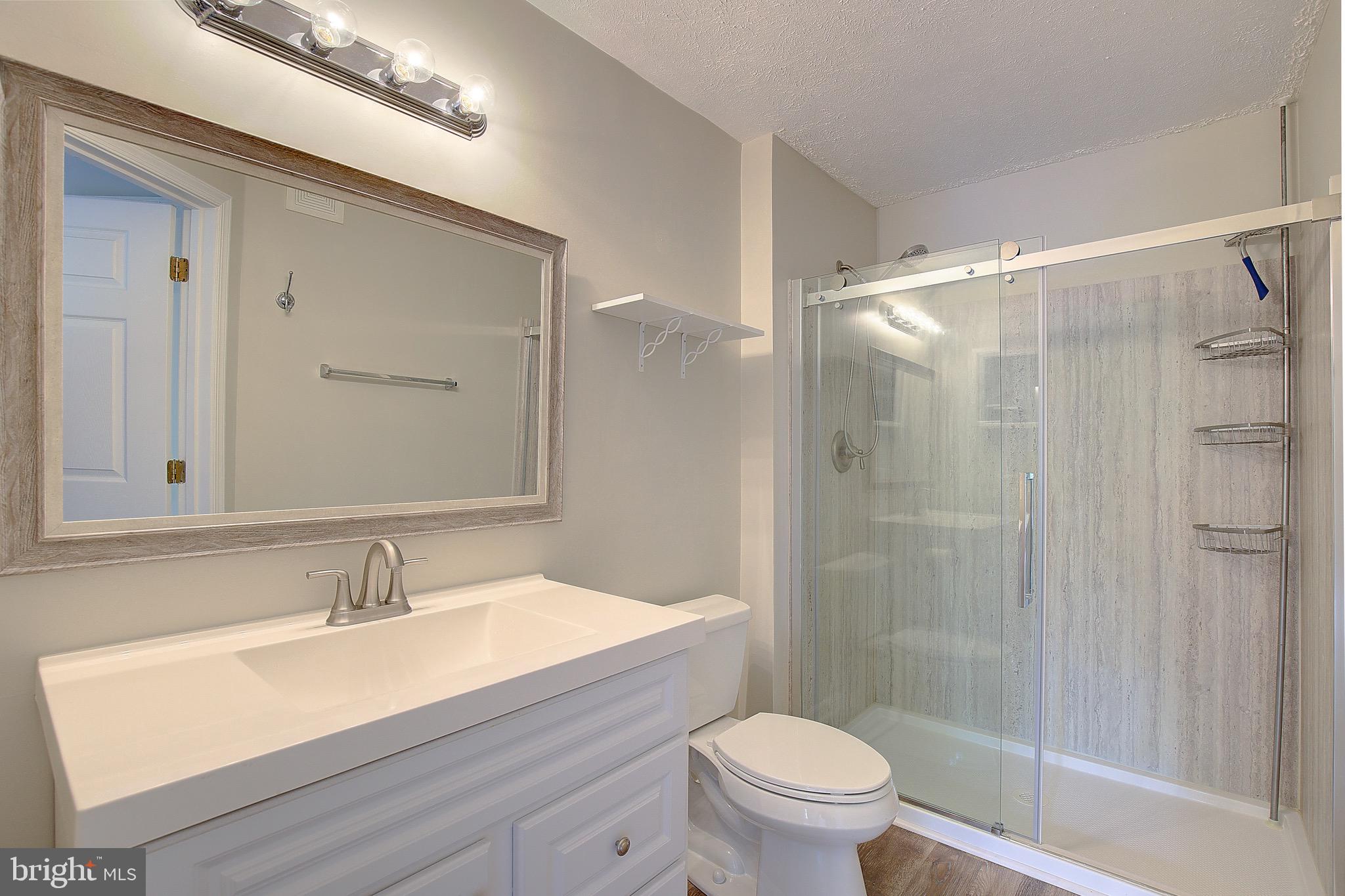 2013 Warners Ter S #241