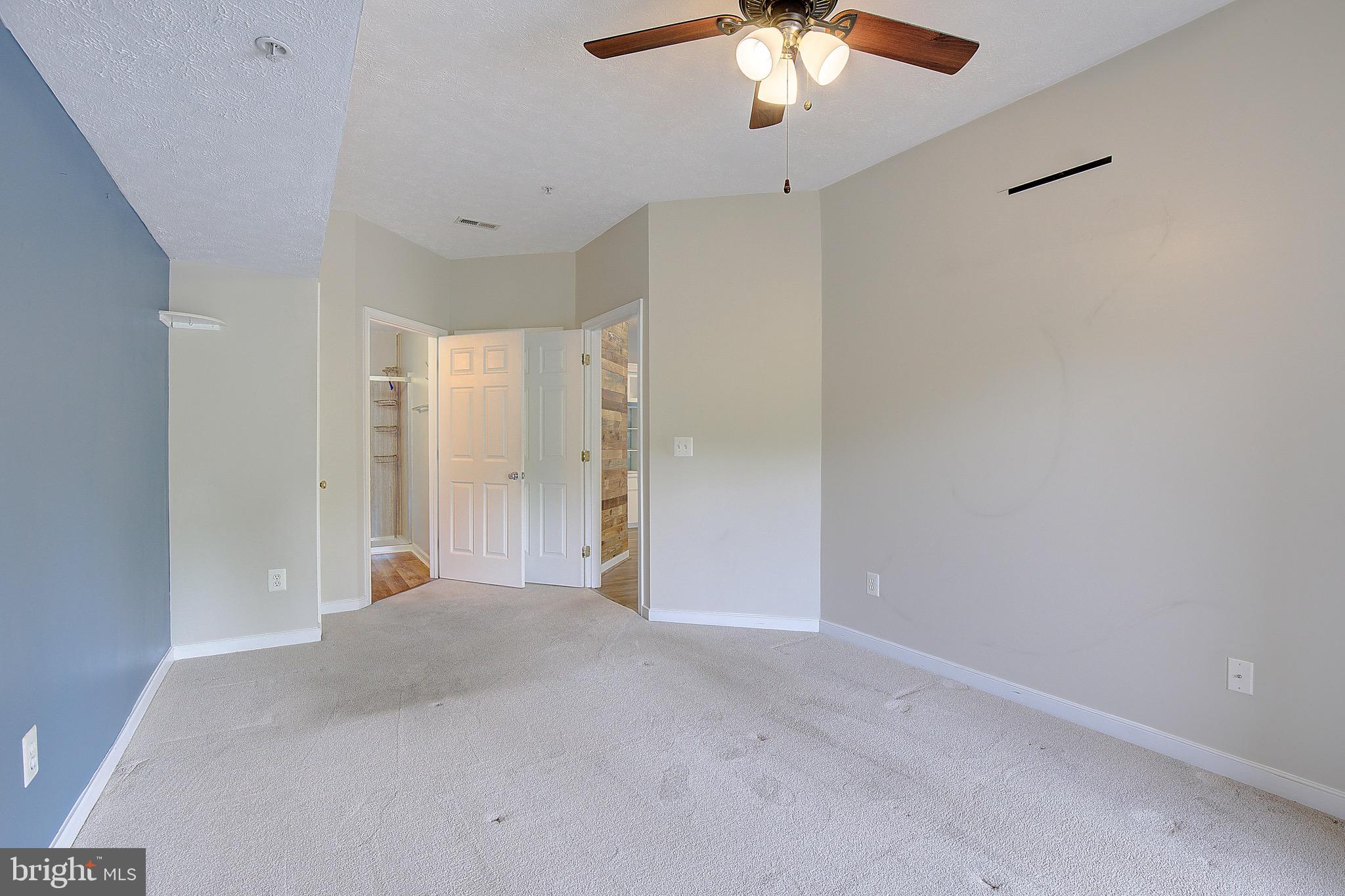 2013 Warners Ter S #241