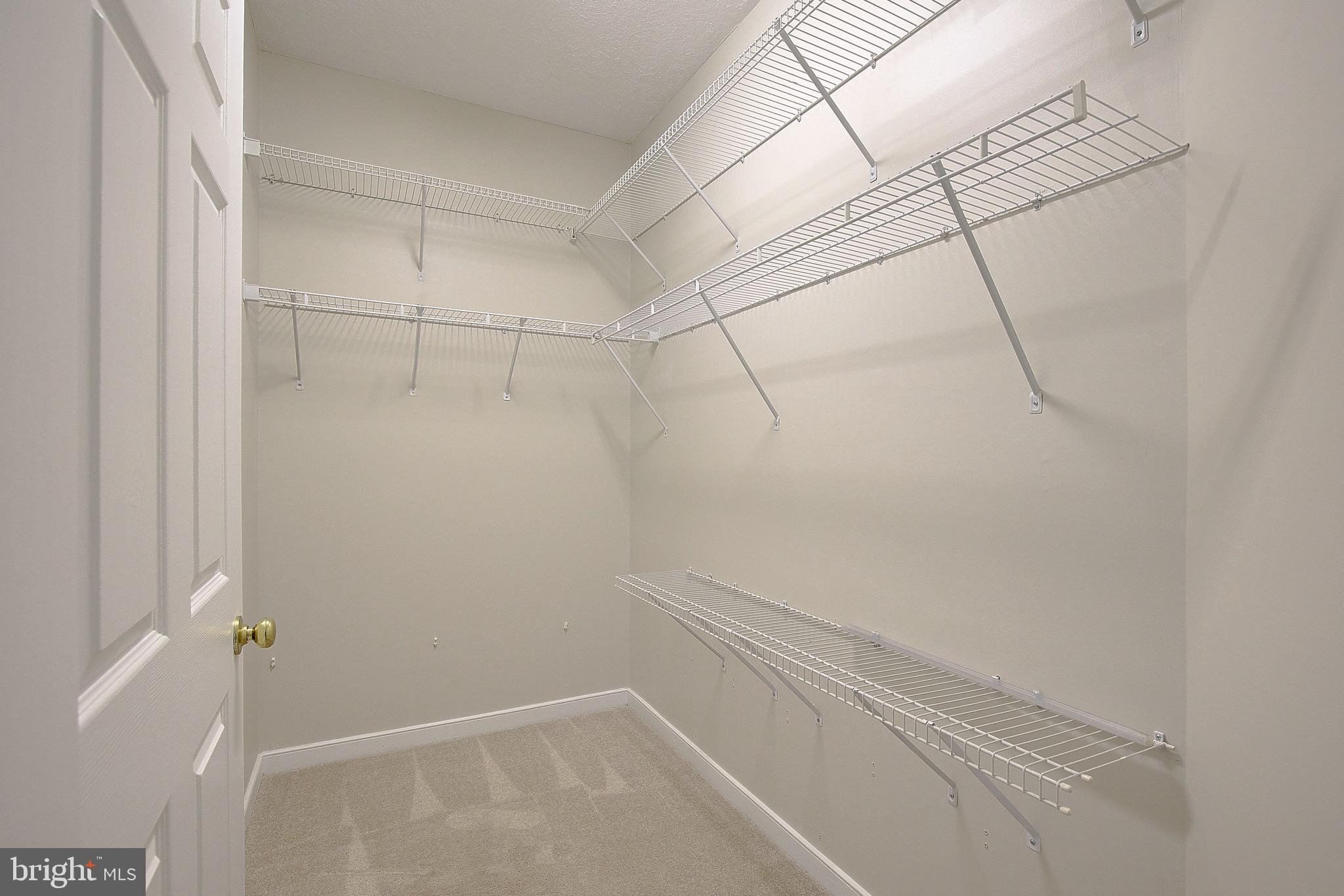 2013 Warners Ter S #241