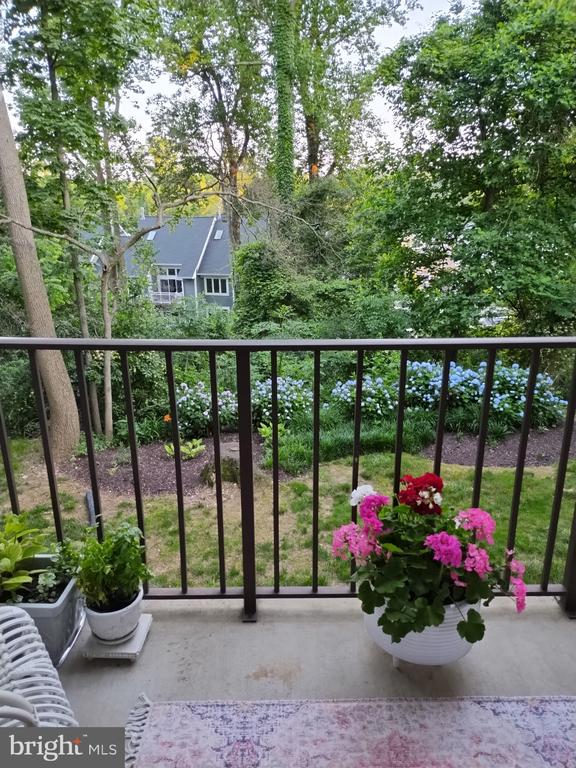 613 OAKLAND HILLS COURT B 201