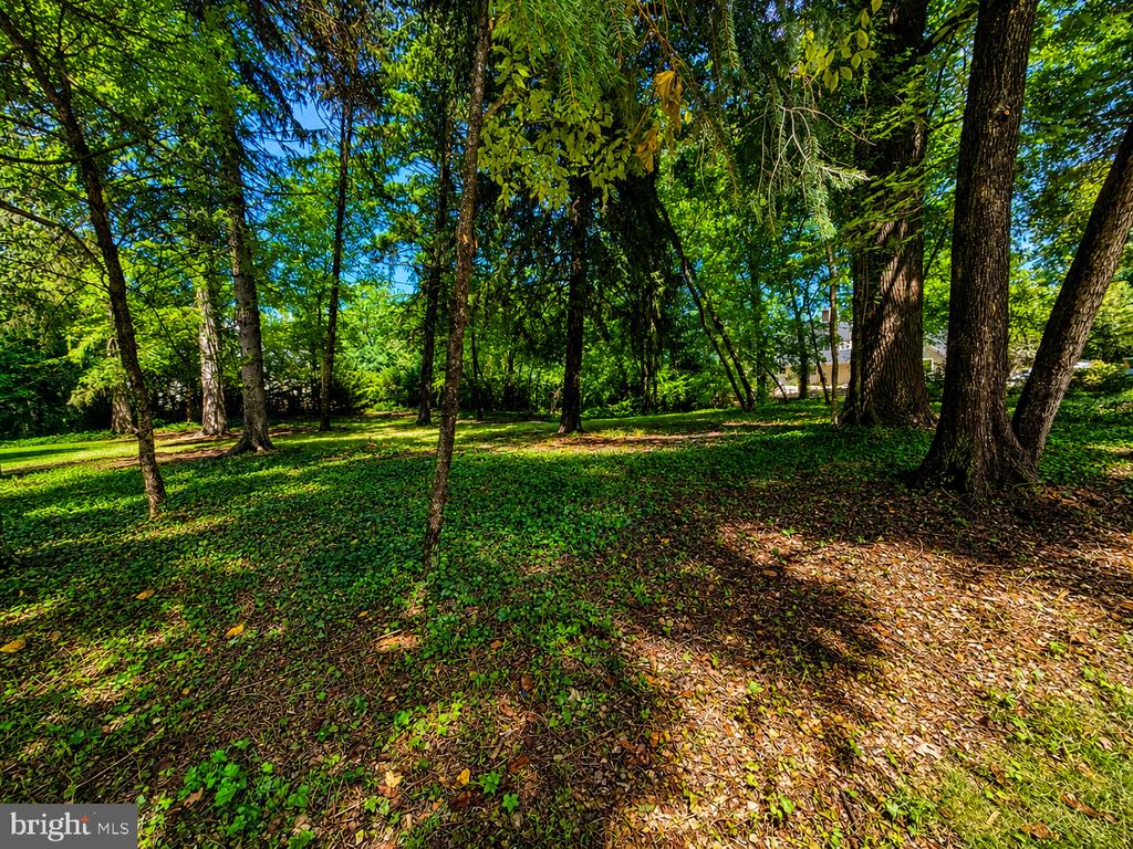 389 AVONDALE CIRCLE