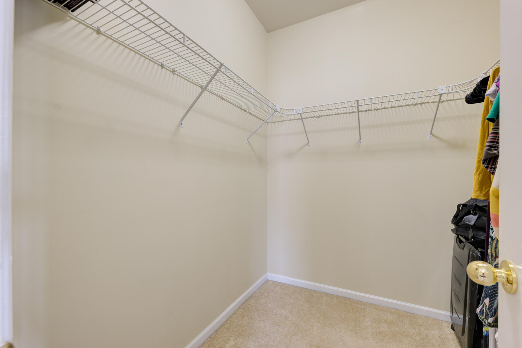 115 Trillium Avenue