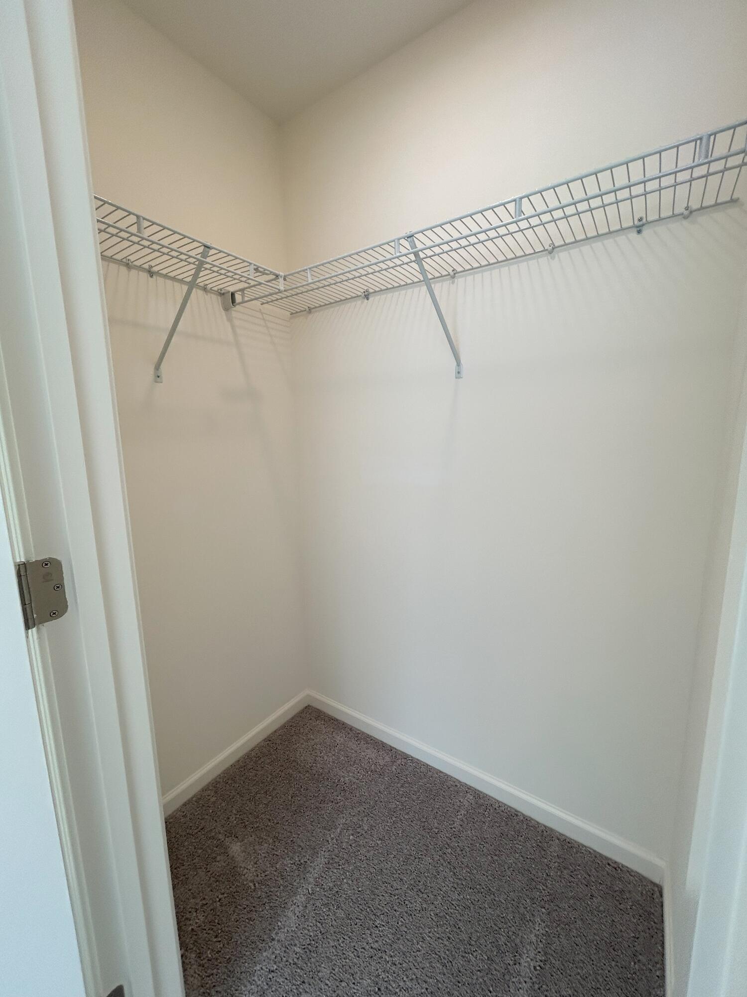 806 Scarlett Maple Street