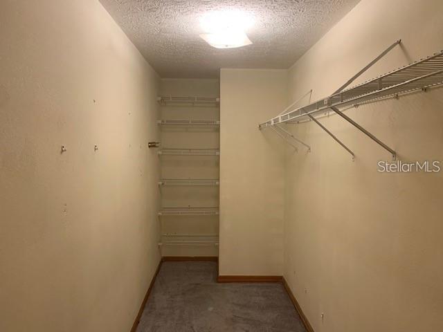 35209 DOLPHIN LAKE DR