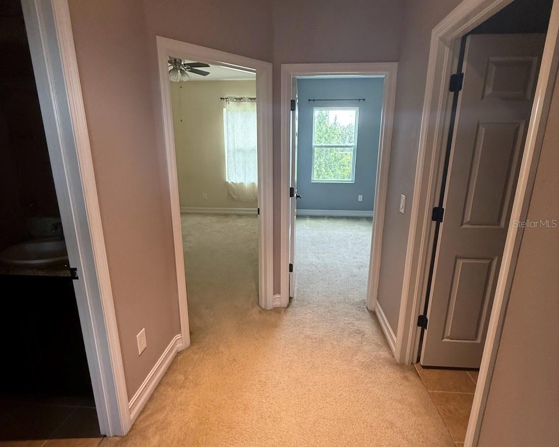 33181 SHADOW BRANCH LANE