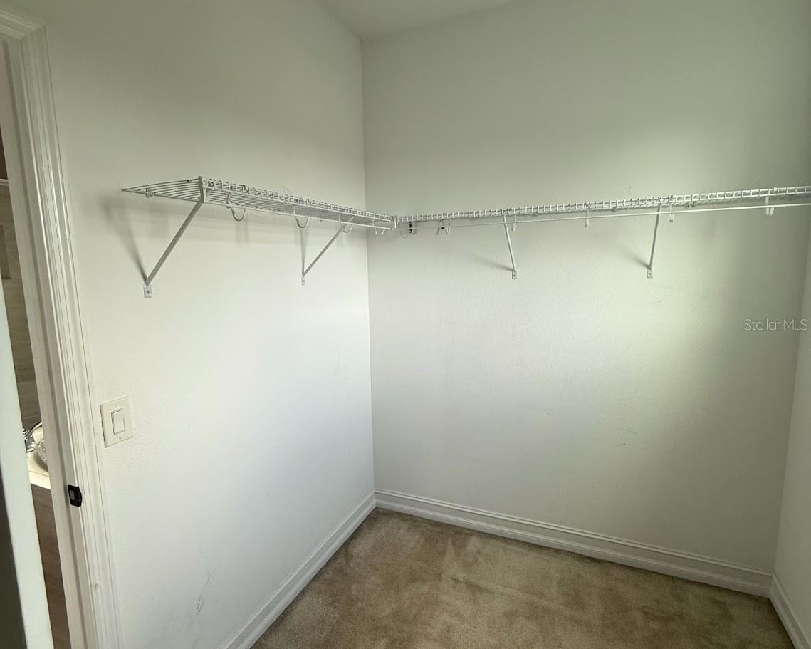 33181 SHADOW BRANCH LANE