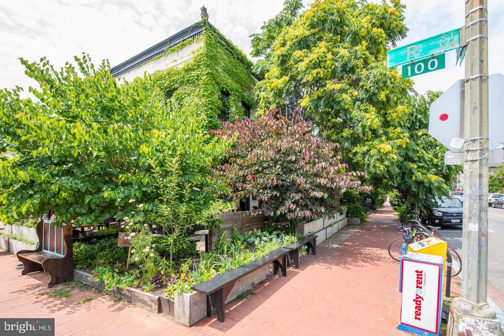 Ivy-covered building beside a leafy sidewalk garden with benches and a brick-paved walkway.