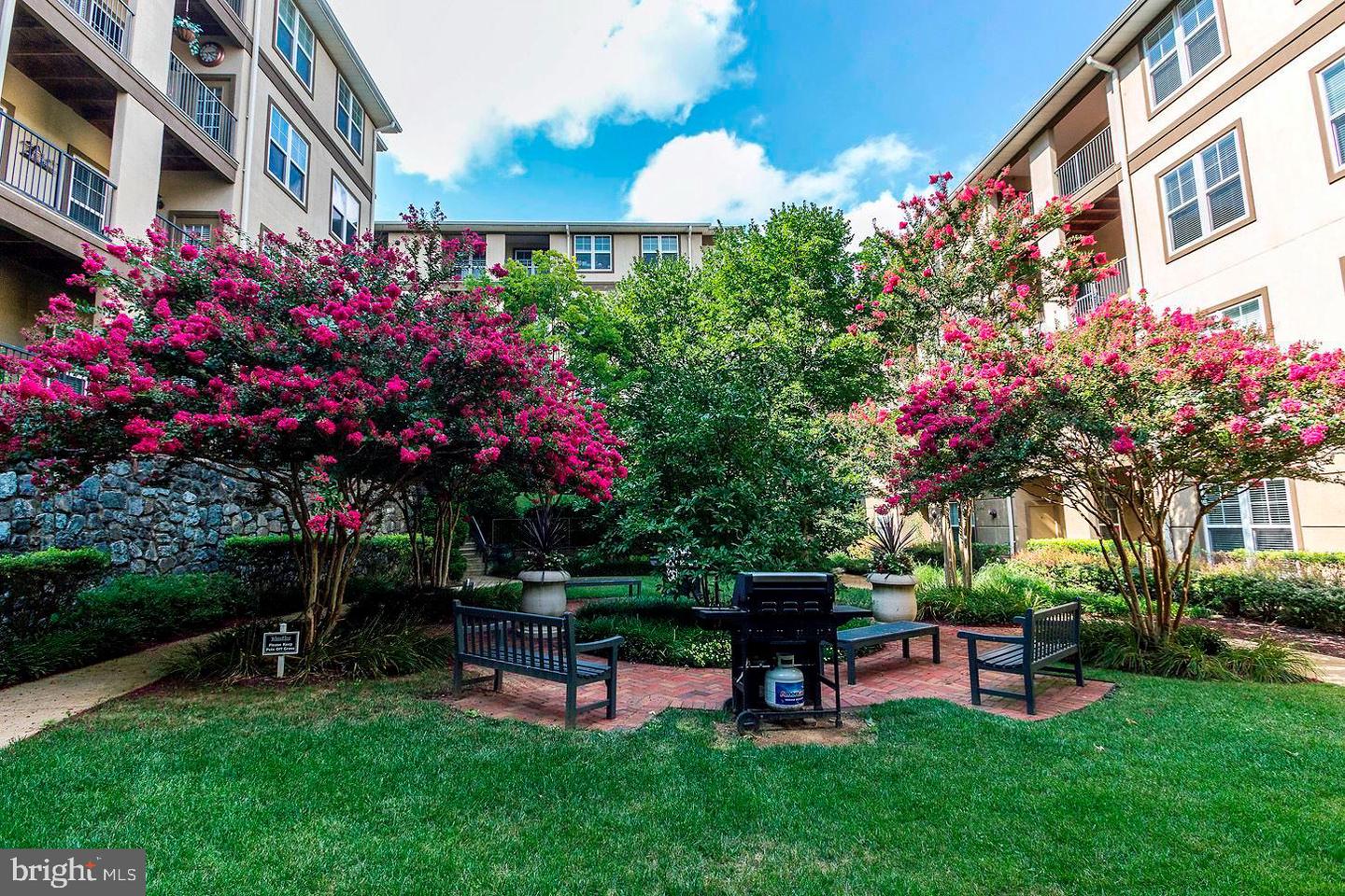 11750 Old Georgetown Rd #2211