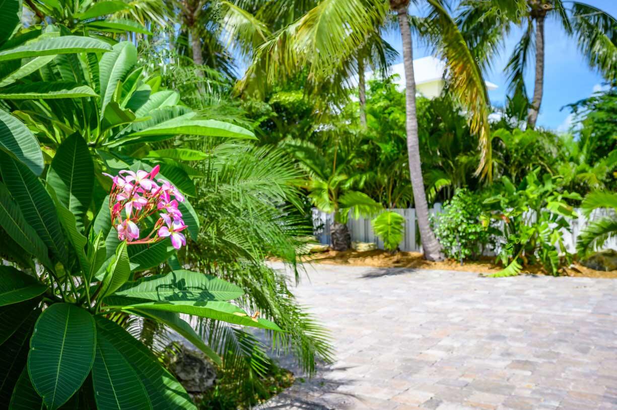 17024 W Green Turtle Lane