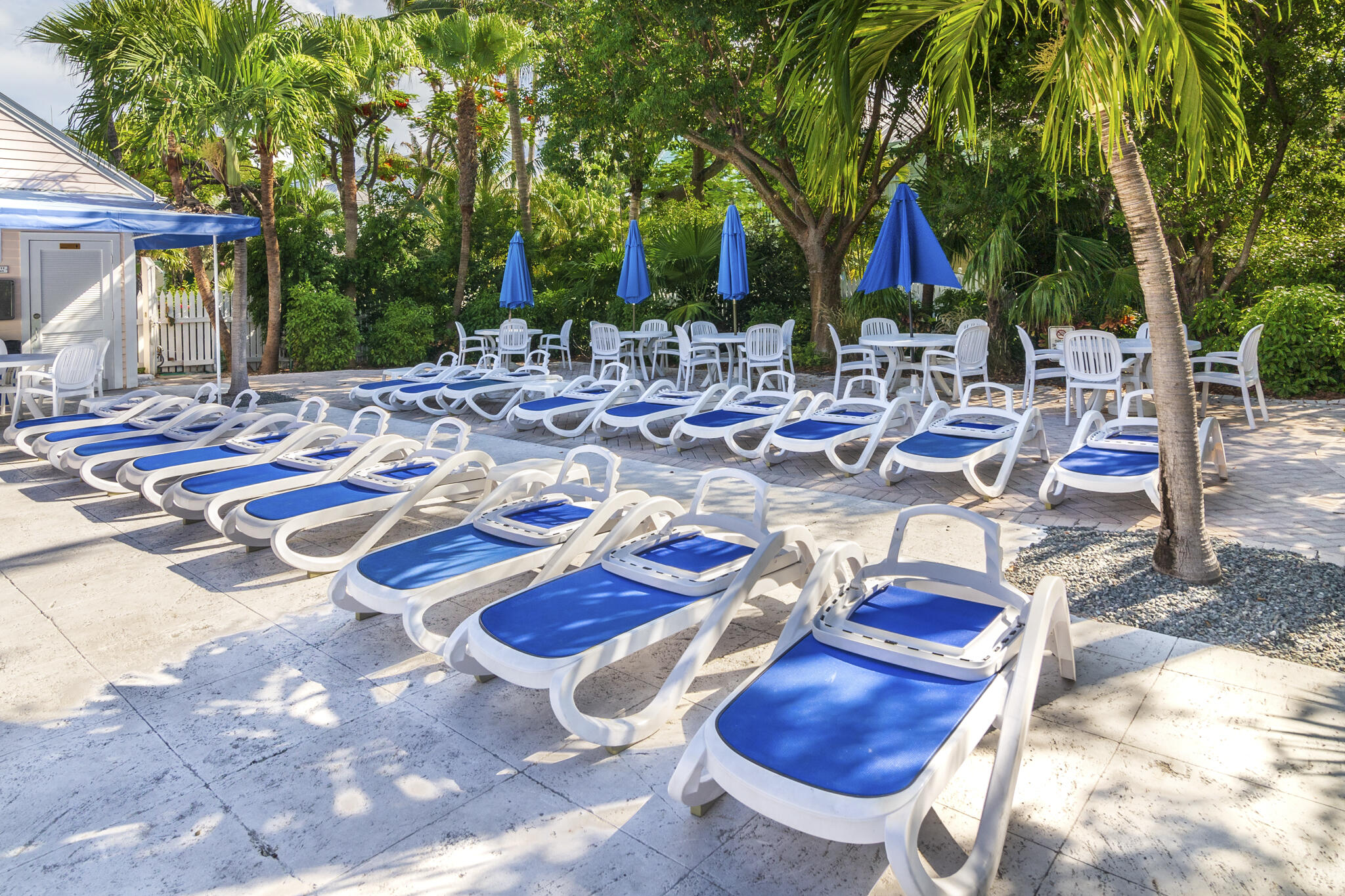 204 Southard Street Unit: 5