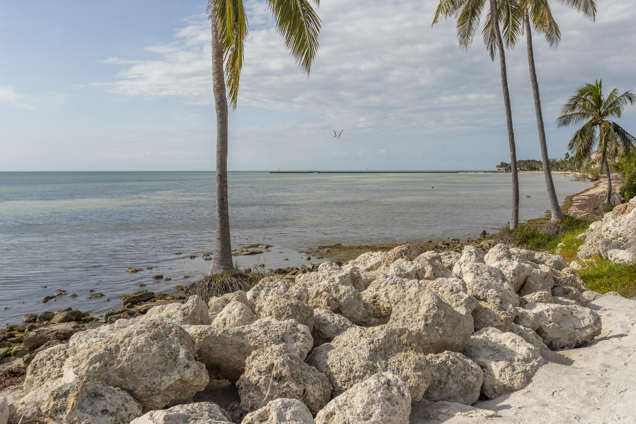 1800 Atlantic Boulevard Unit: 308A