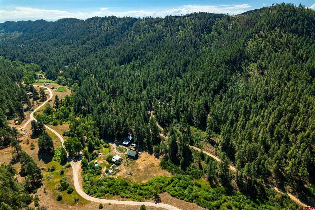 2215 Bear Creek Canyon Road