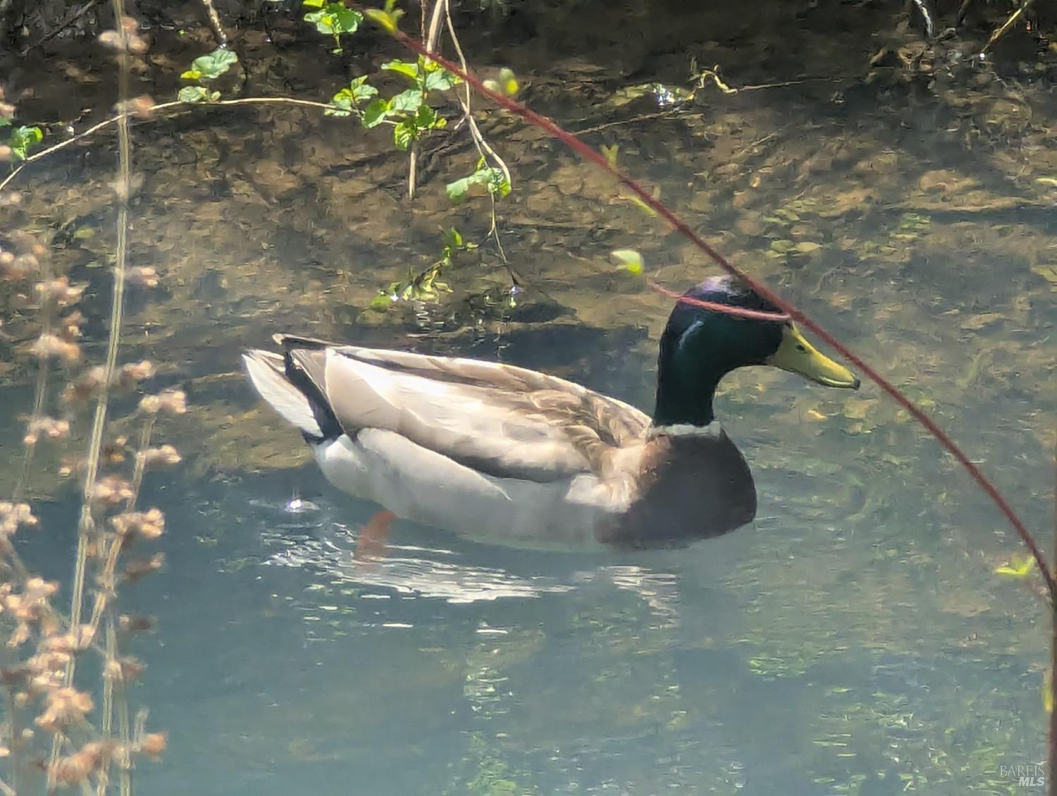 11900-12094 Hwy 116 Hwy