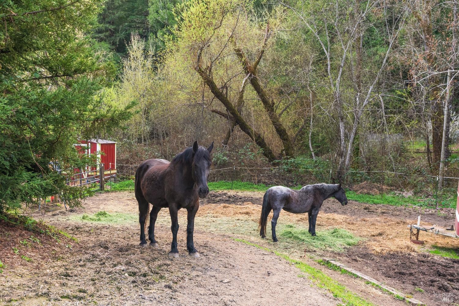 11900-12094 Hwy 116 Hwy