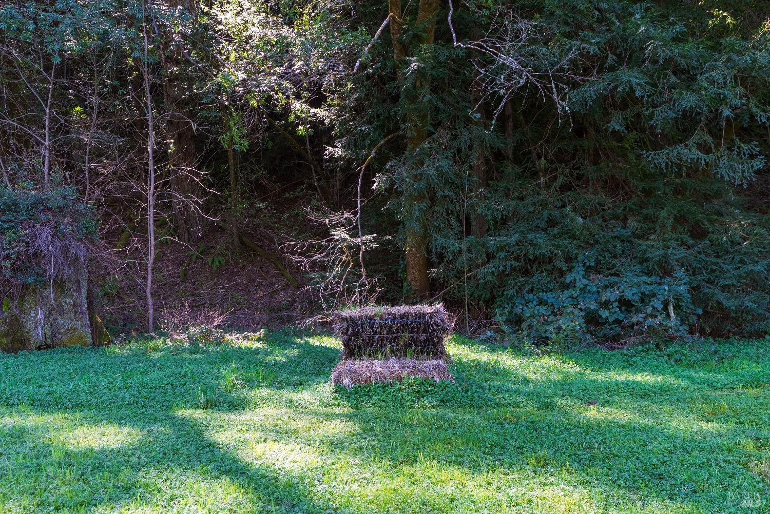 11900-12094 Hwy 116 Hwy