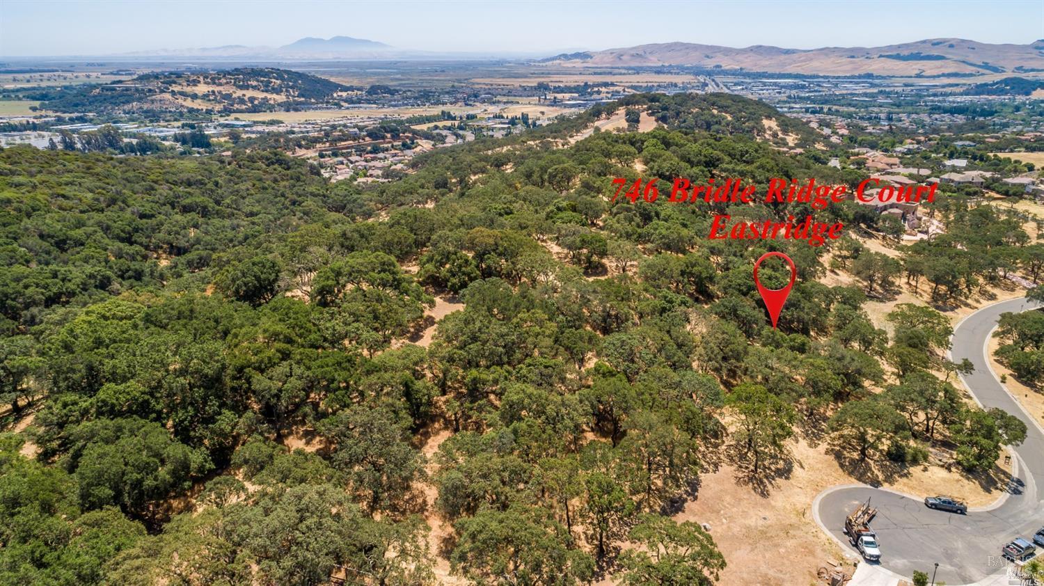 746 Bridle Ridge Ct