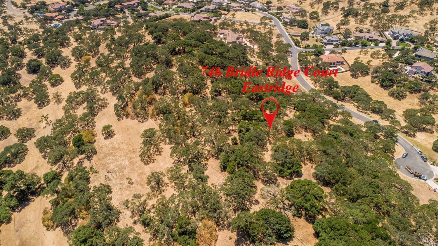 746 Bridle Ridge Ct