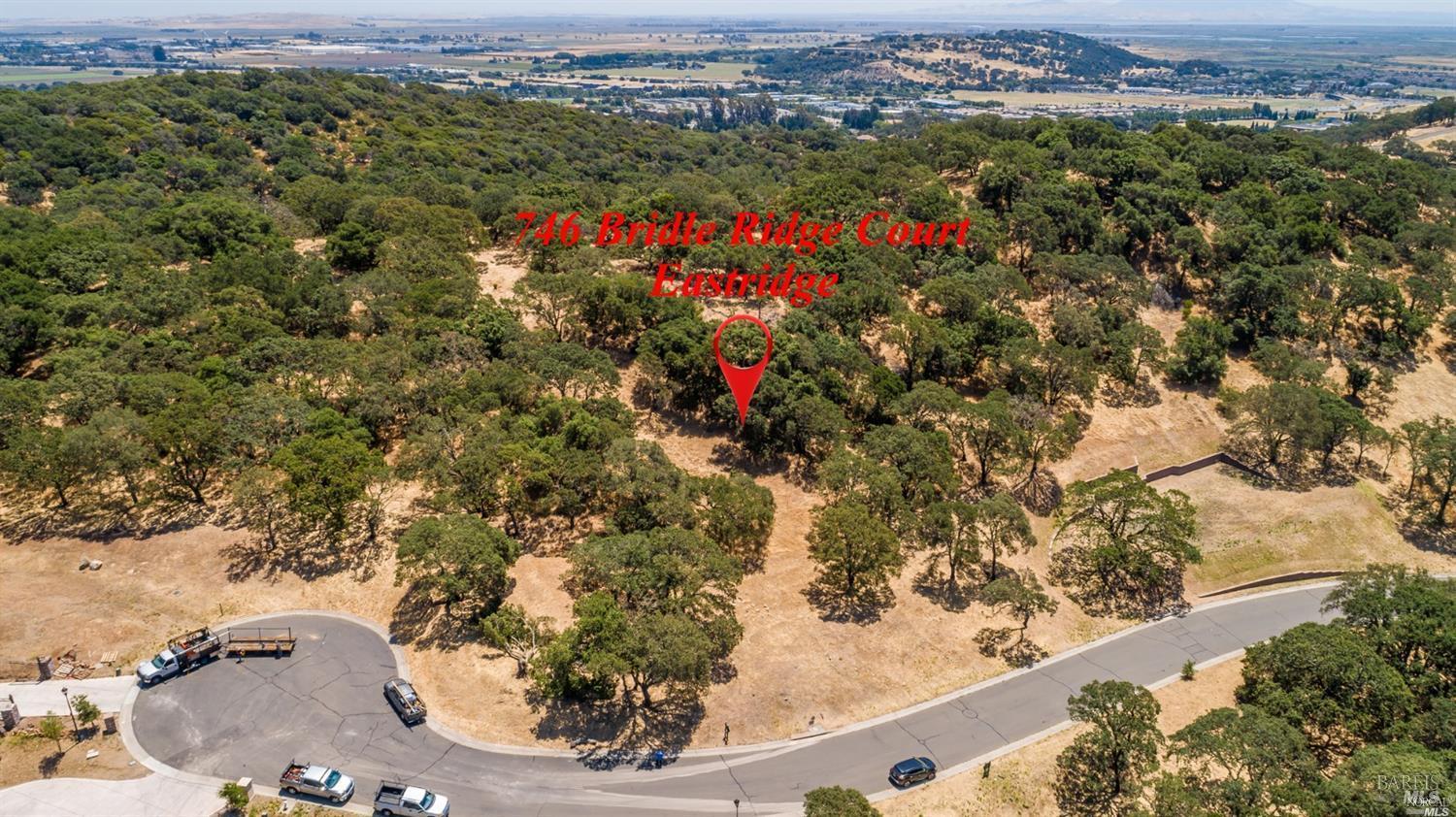 746 Bridle Ridge Ct
