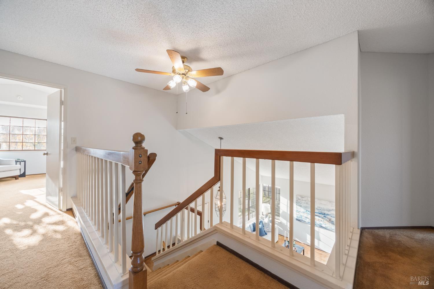 3501 Ponderosa Trail