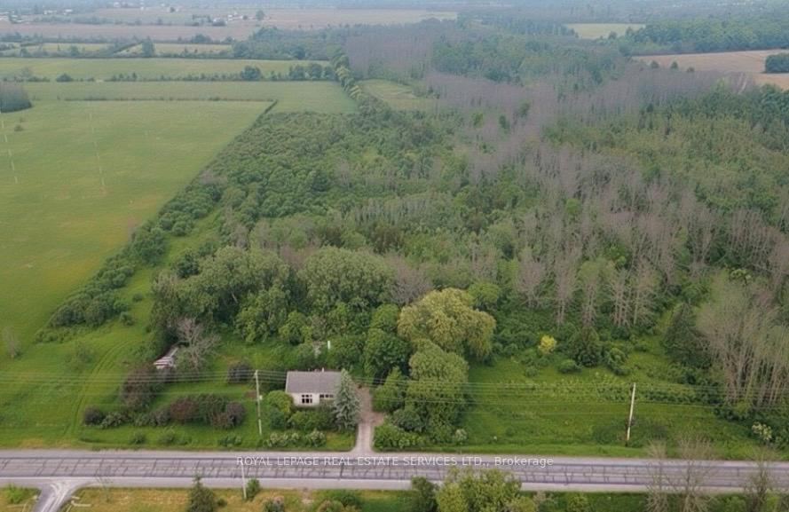 21062 Loyalist Parkway