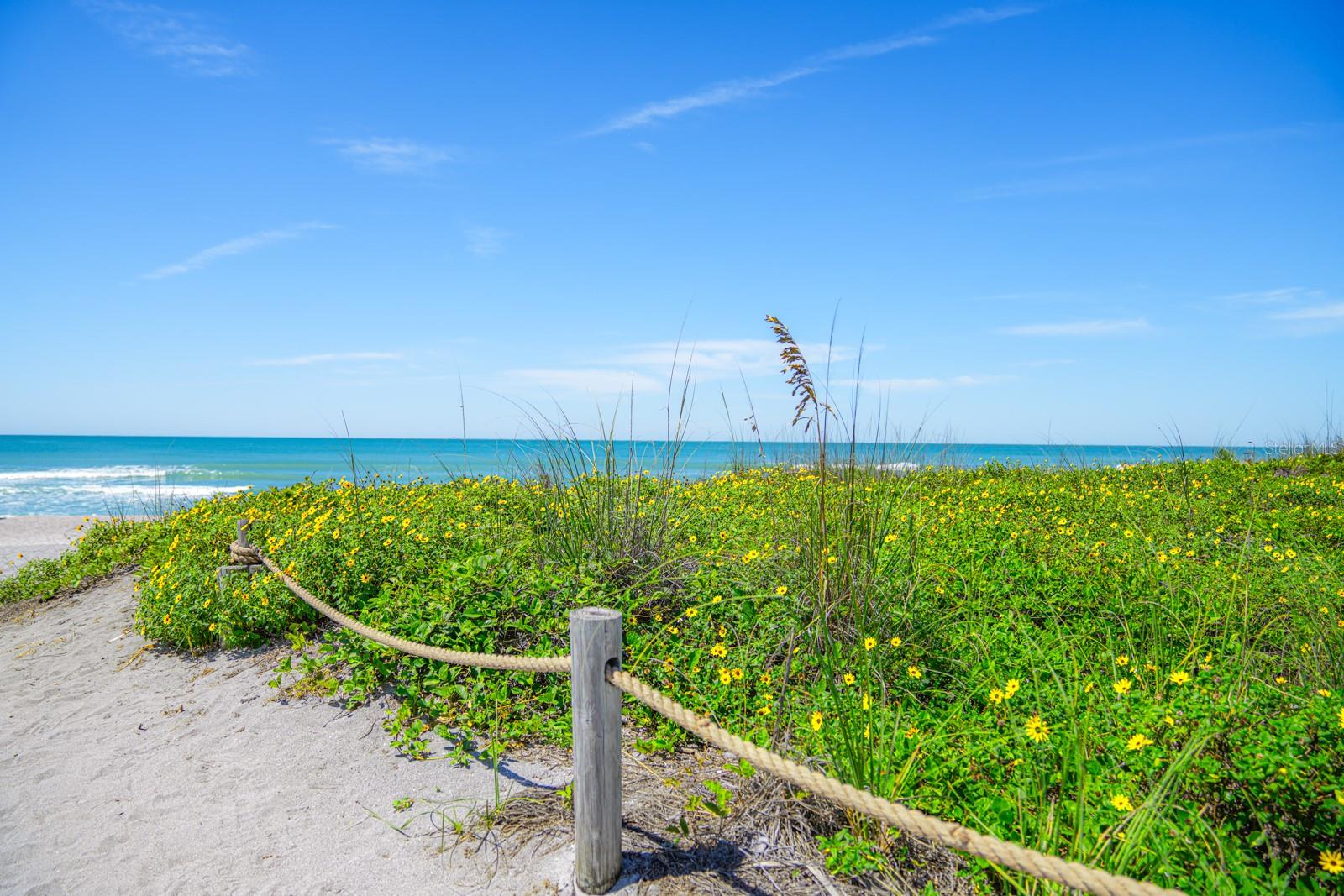 7401-B MIDNIGHT PASS RD