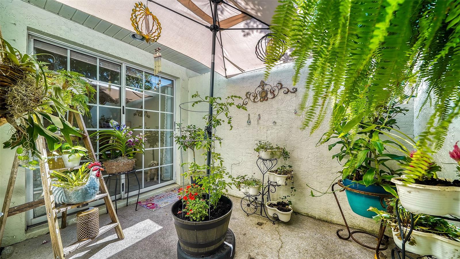 7017 WOODSIDE OAKS CIR