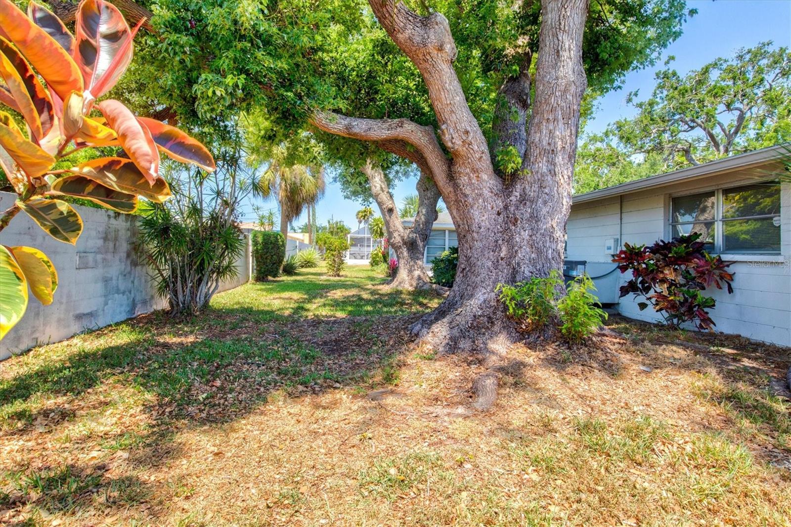 2435 TERRY LN