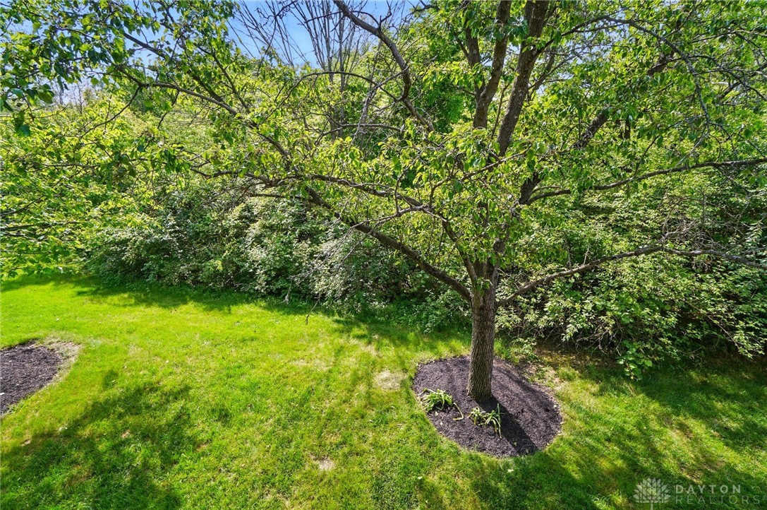 1175 Captains Bridge