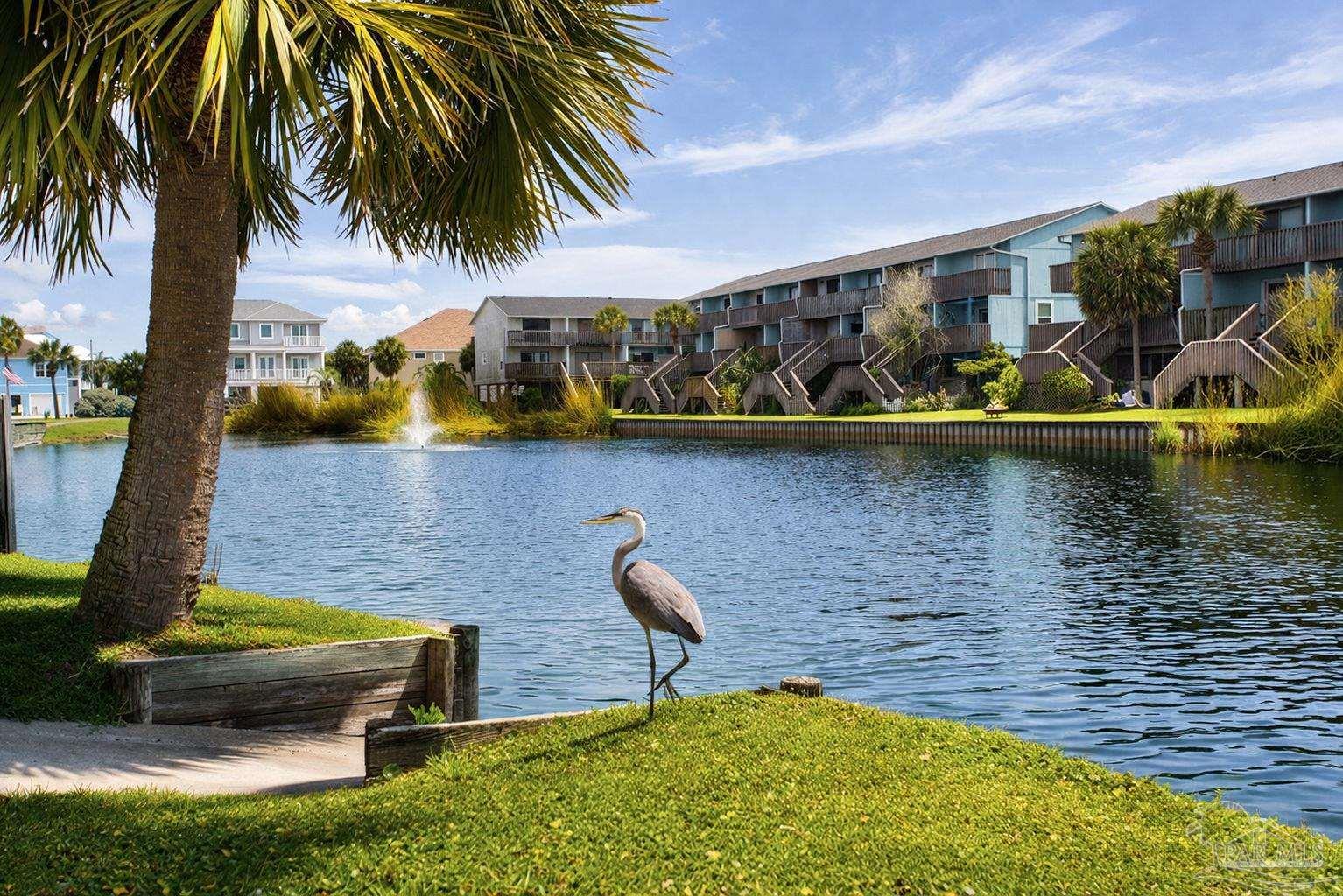 1650 Via Deluna Dr # 2 Unit: A-2