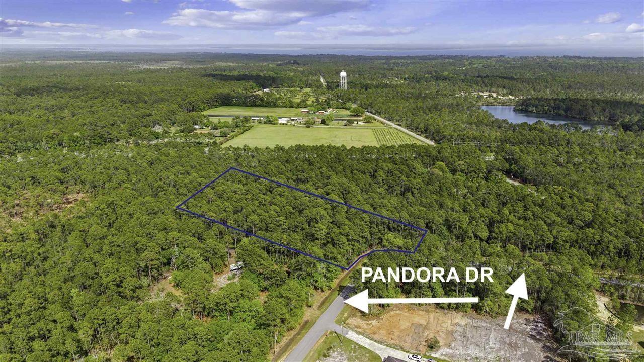 Pandora Dr