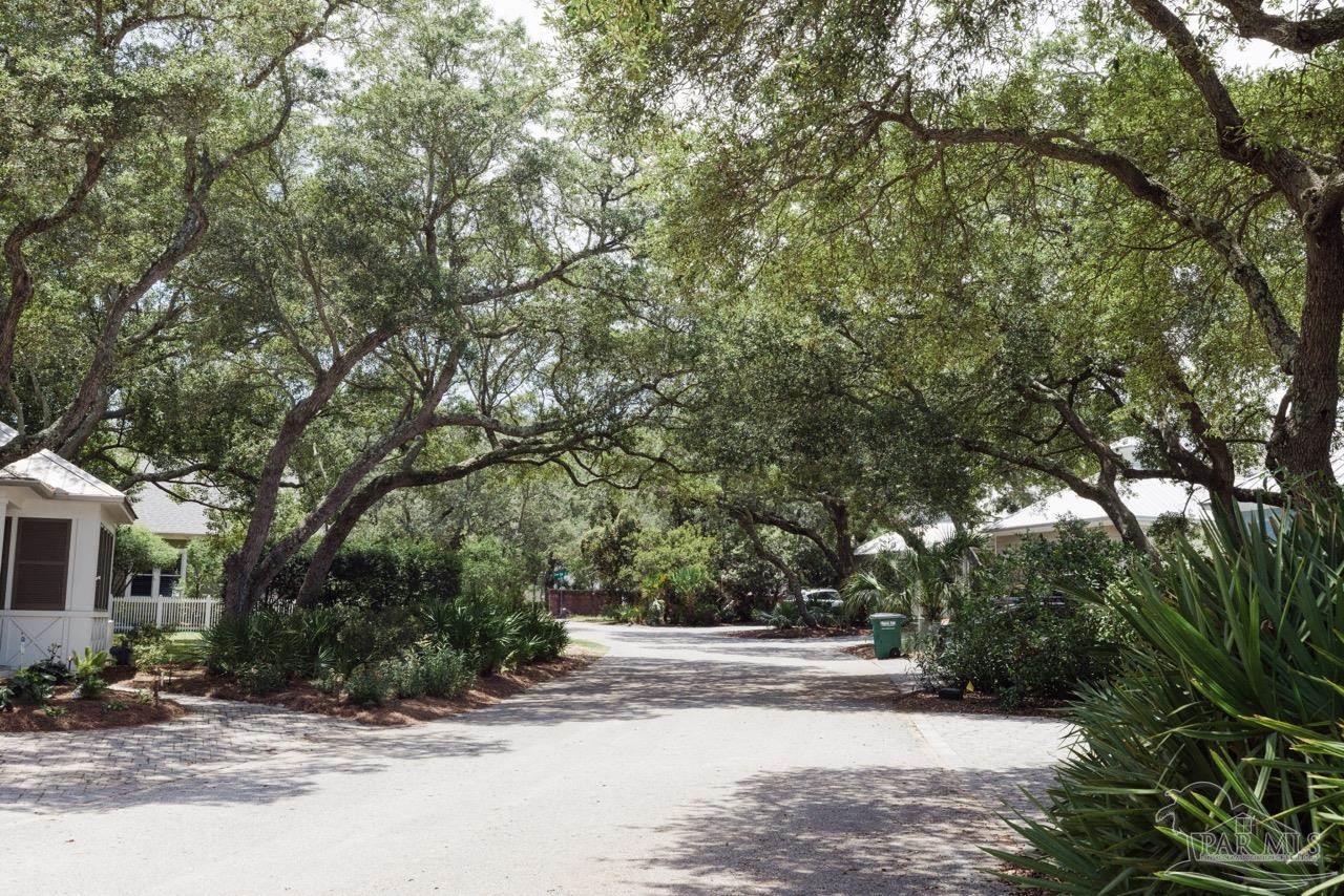 Duncan Ave