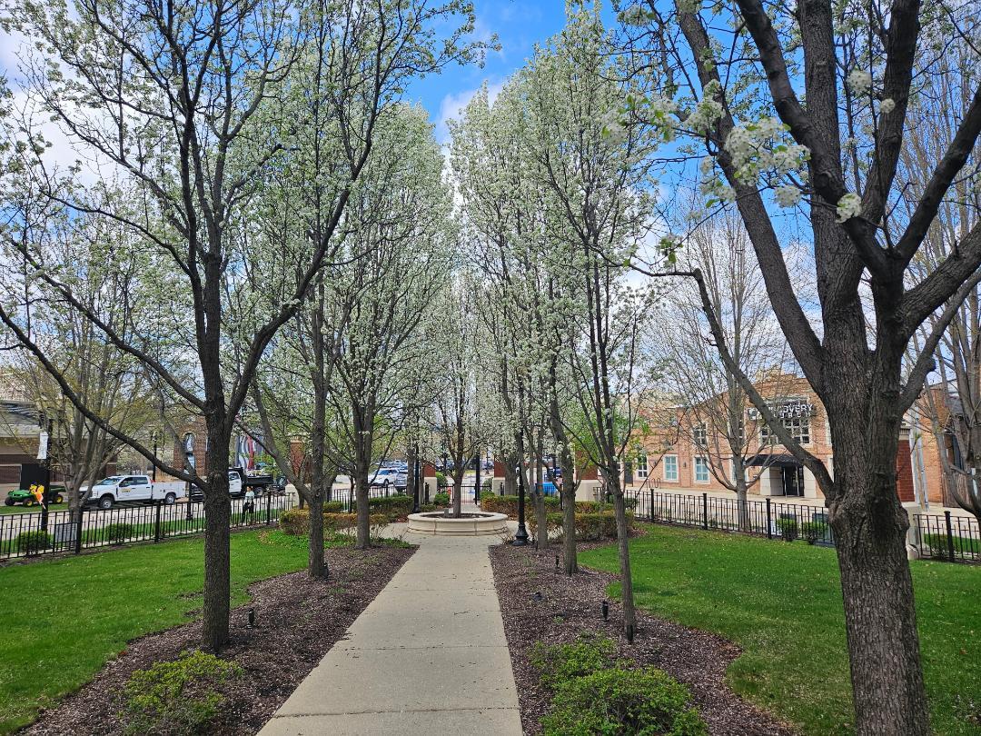 147 River Walk Court