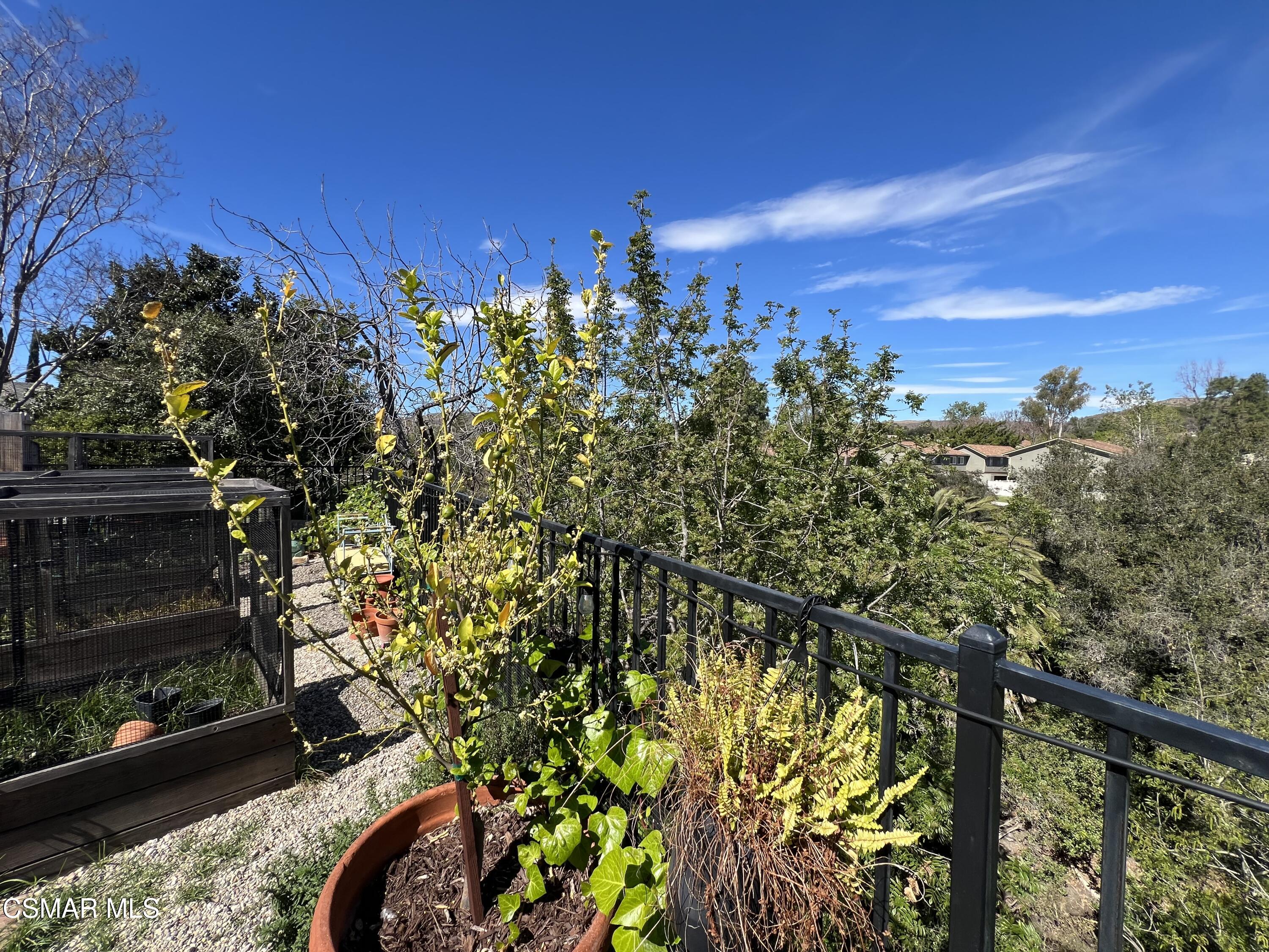 545 Shenandoah Street