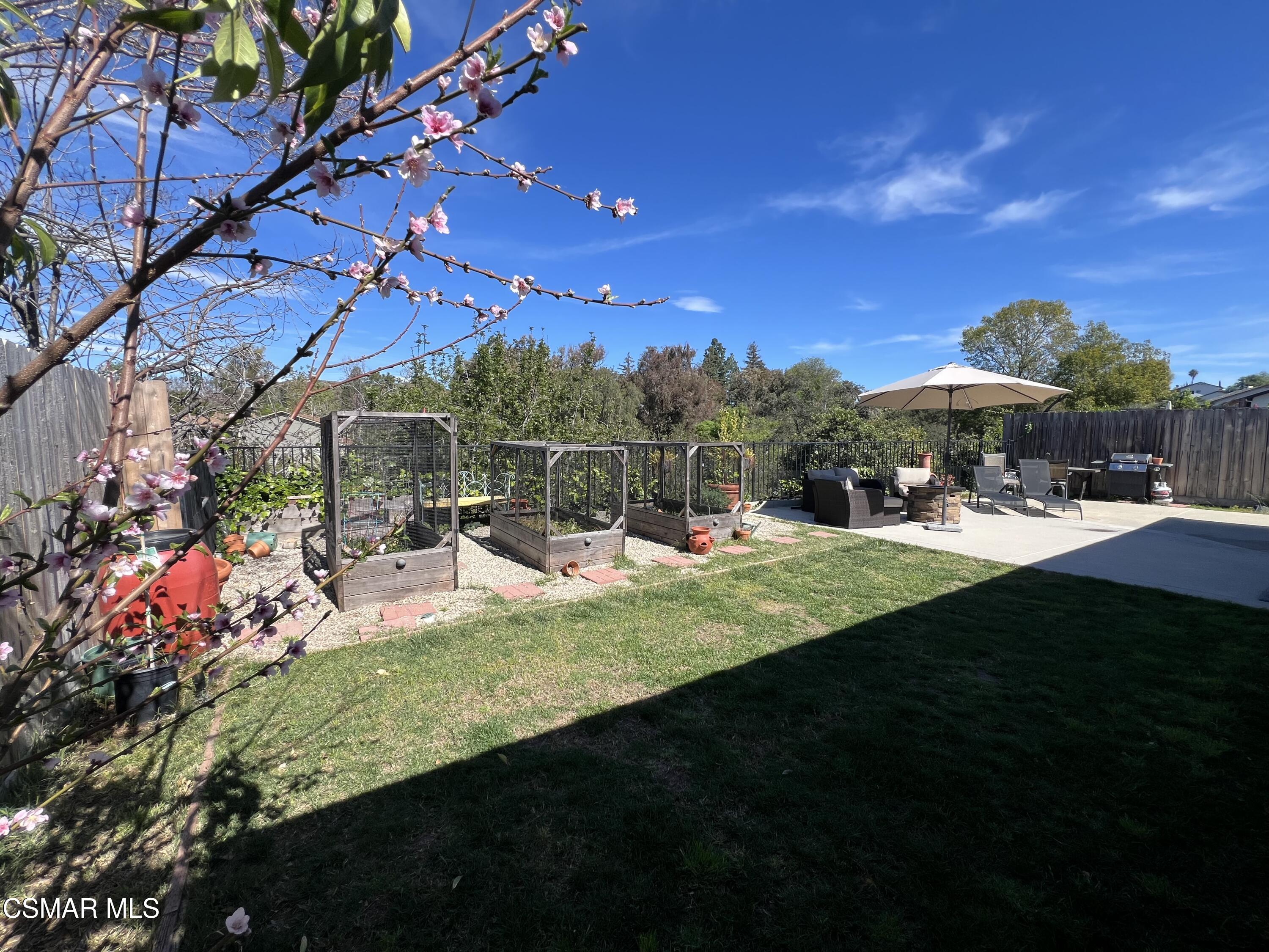 545 Shenandoah Street