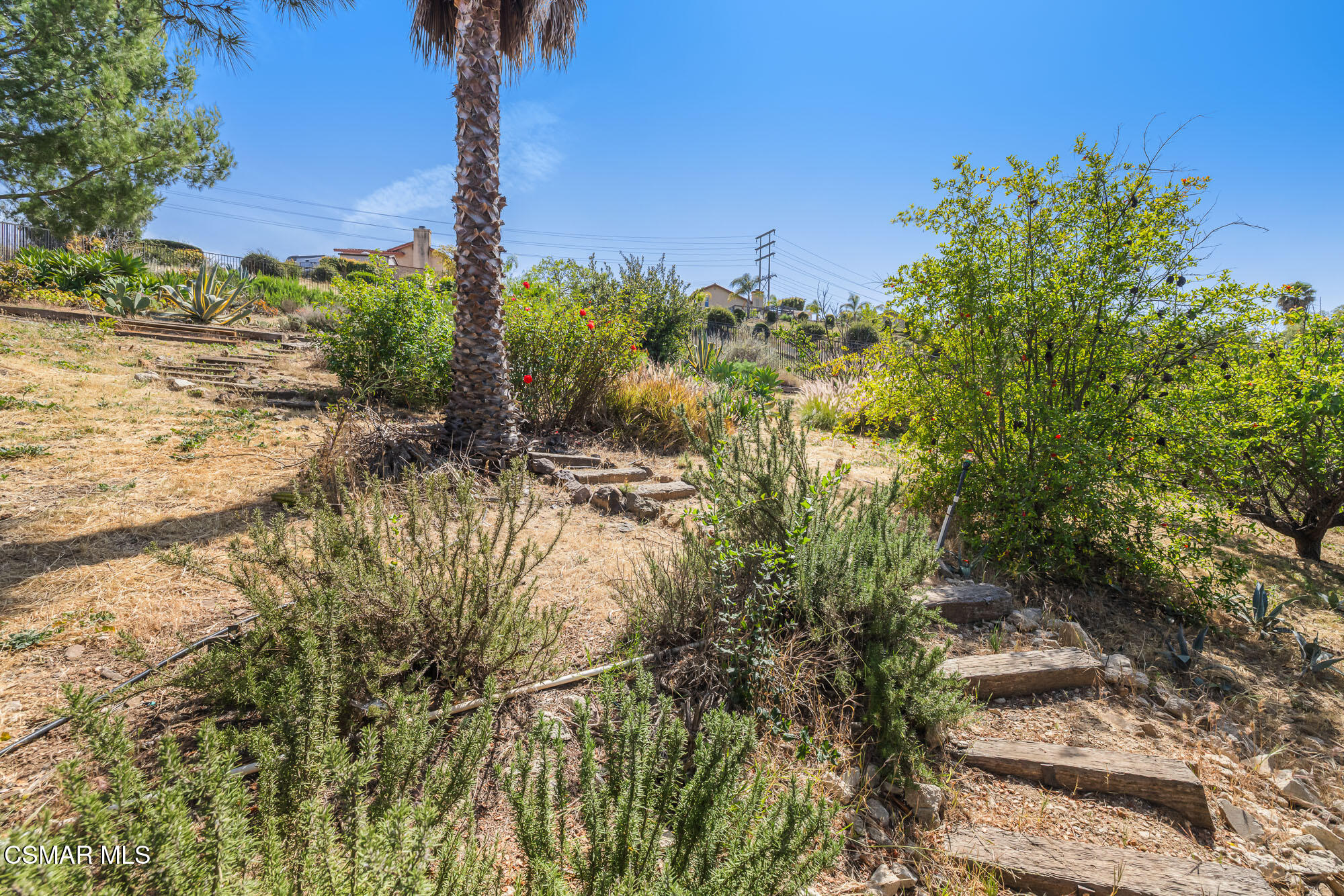 13954 Keisha Drive
