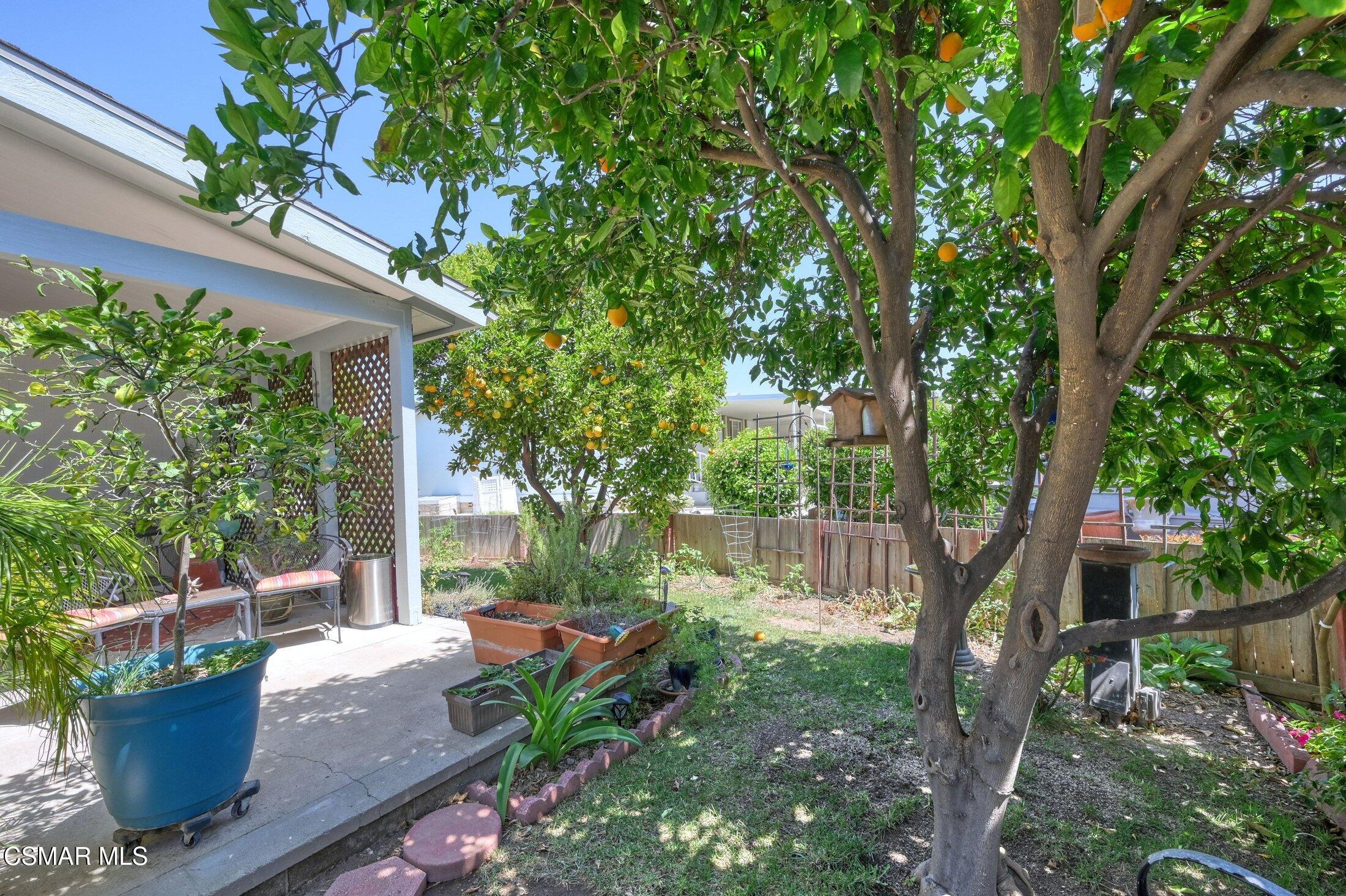 64 Poinsettia Gardens Drive, 64