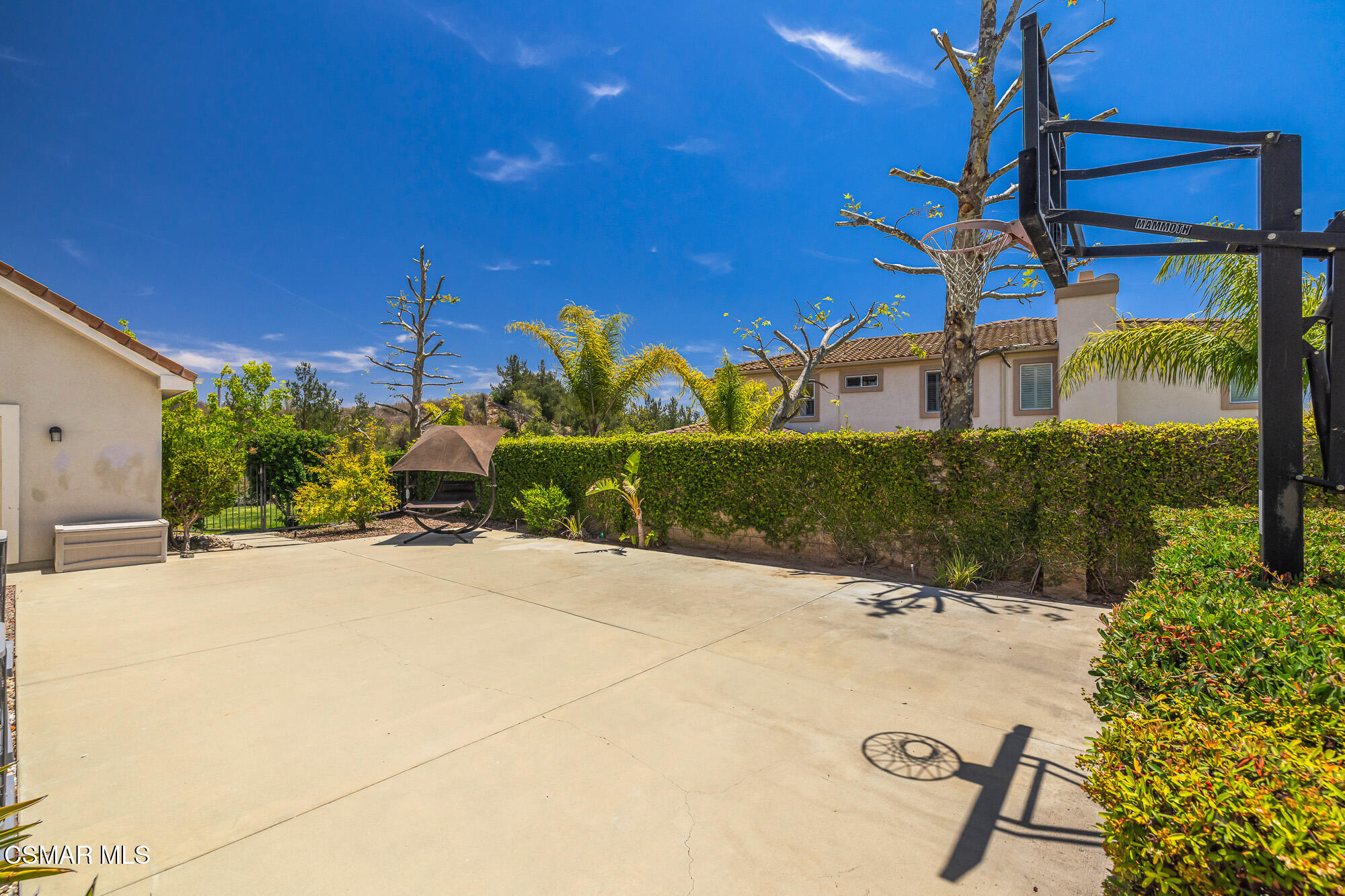 12376 Palmer Drive