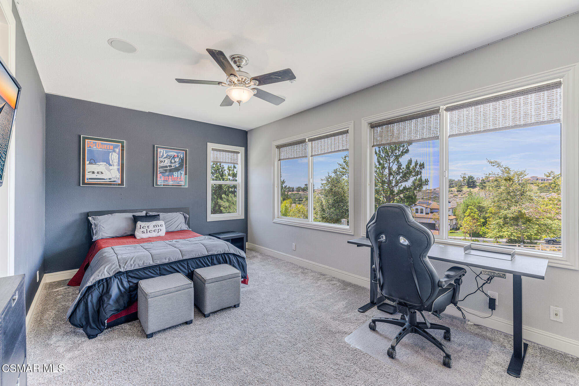 12376 Palmer Drive