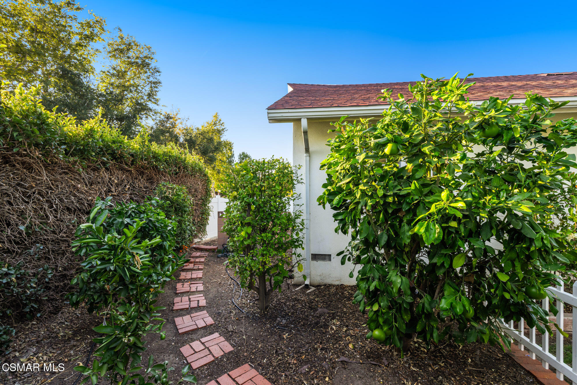 3792 Danmont Court