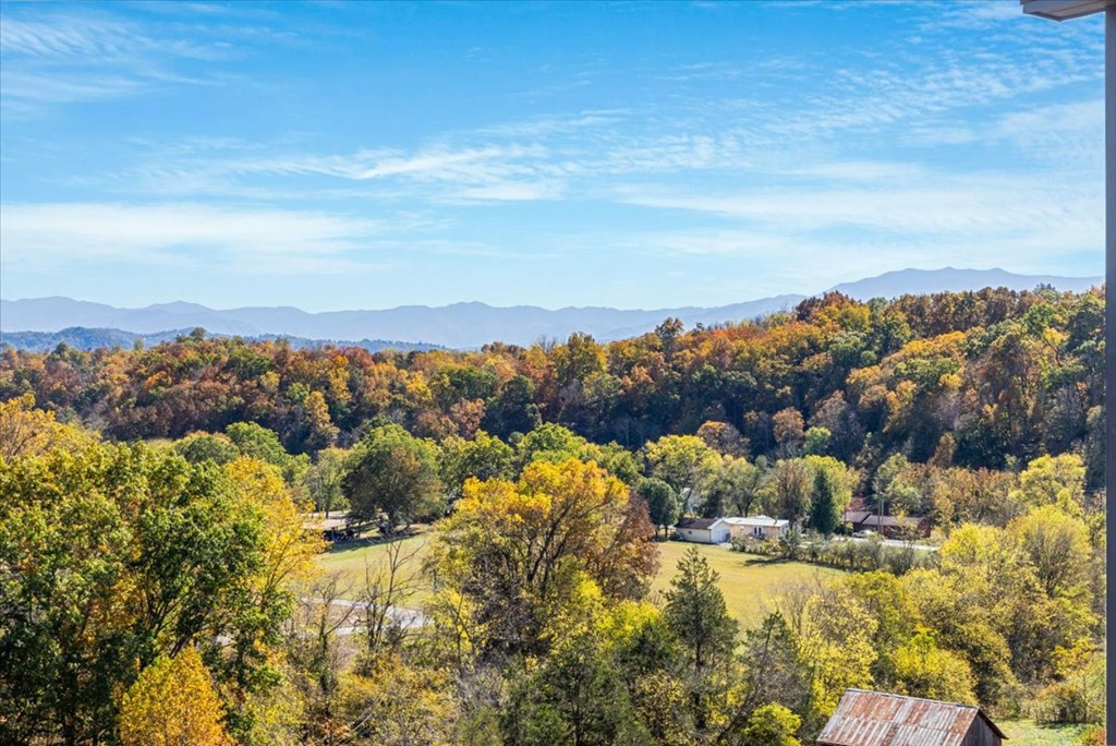 276 Rambling Creek Way Way