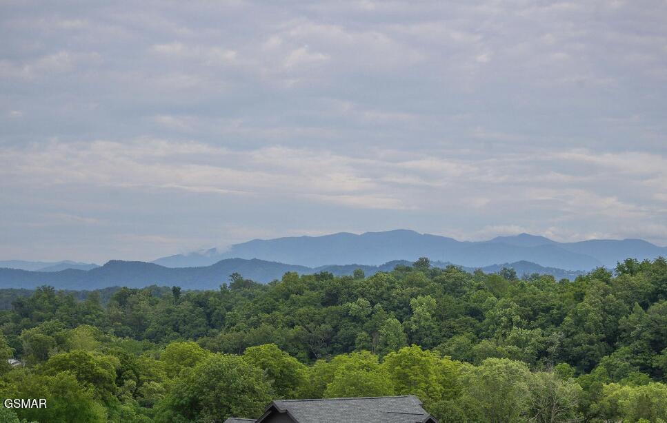 1339 Wildhorse Ridge Way Unit: Lot 139R