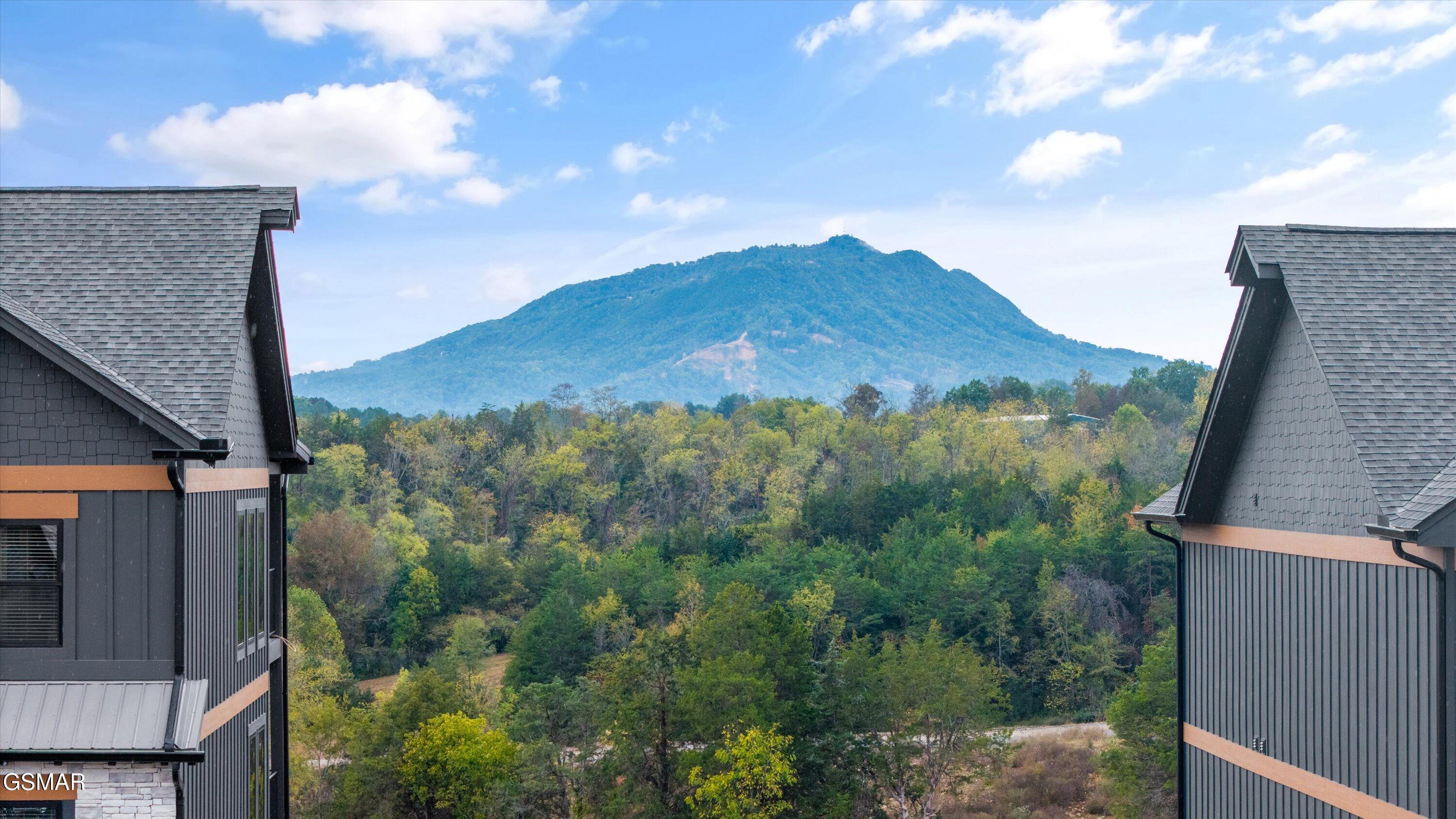 331 Rambling Creek Way Unit: LOT 55R