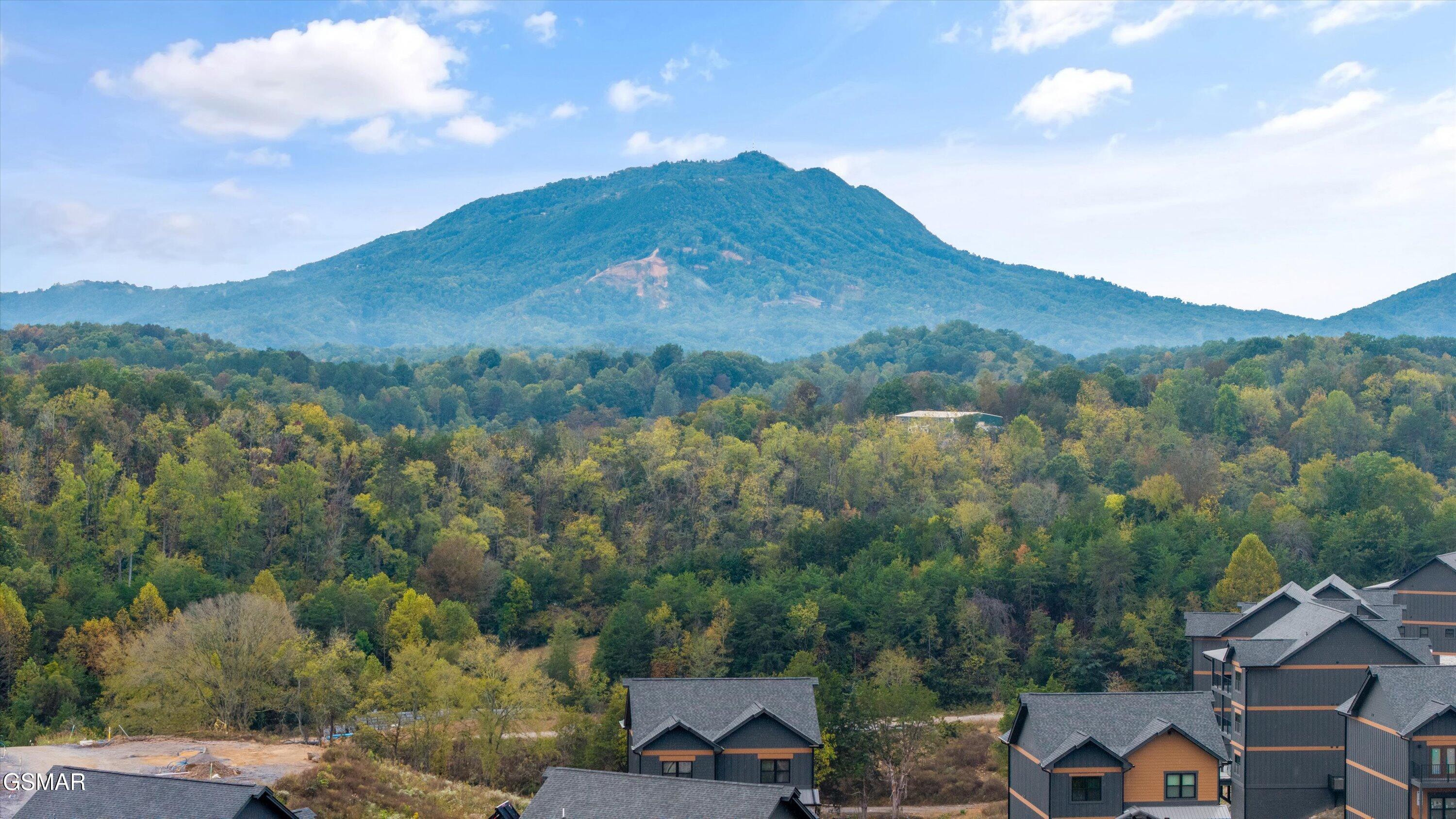 331 Rambling Creek Way Unit: LOT 55R