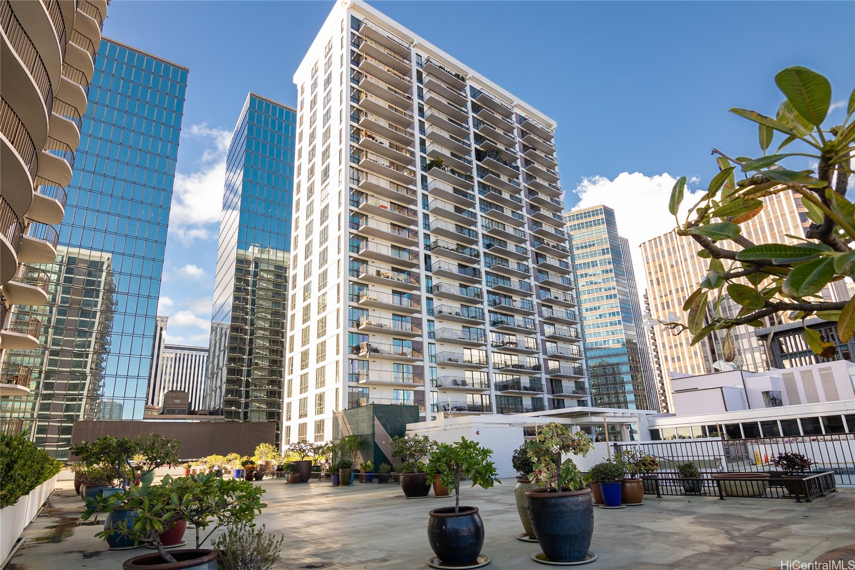 225 Queen Street 22E