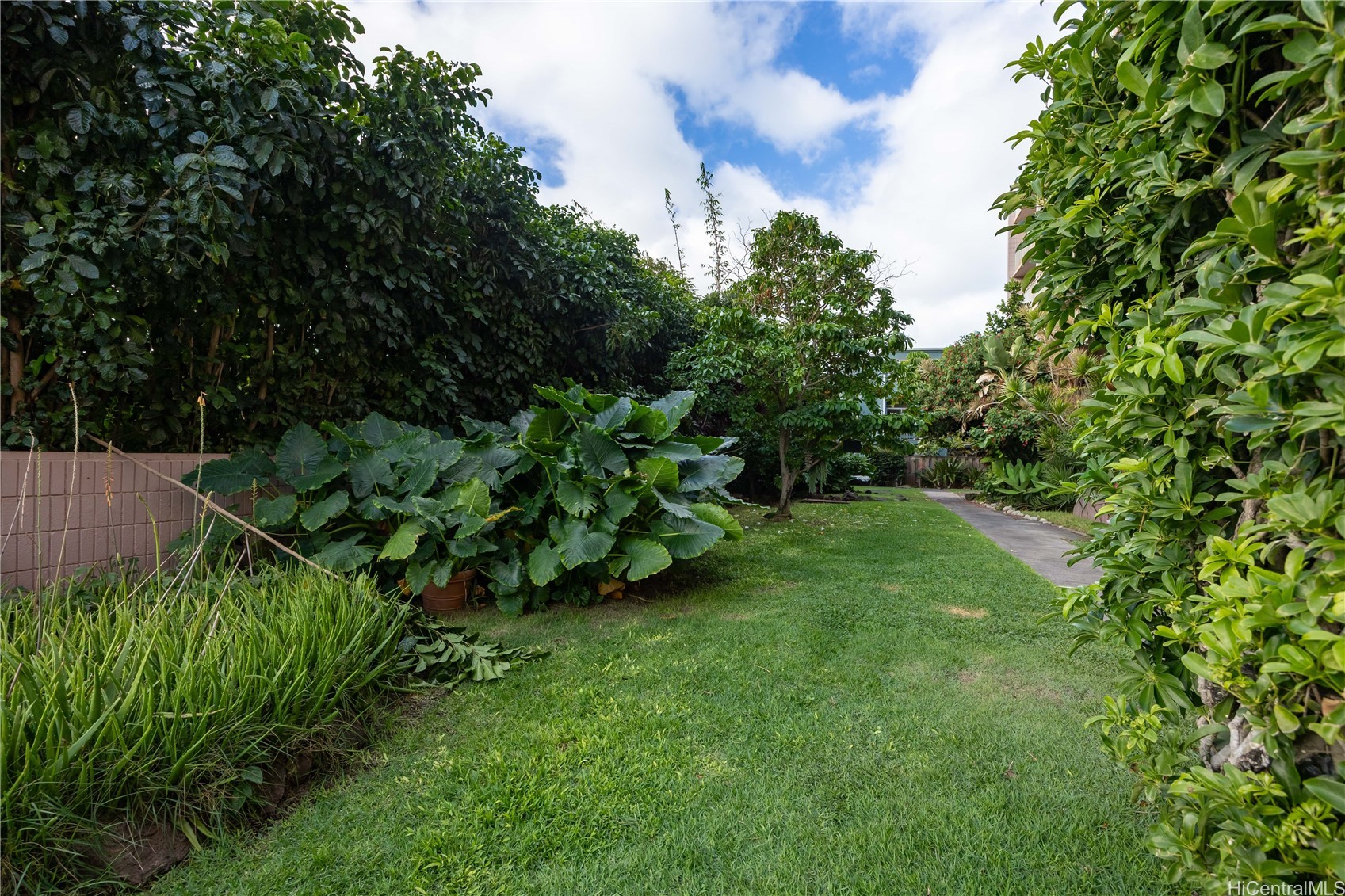 68-55 Akule Street 101